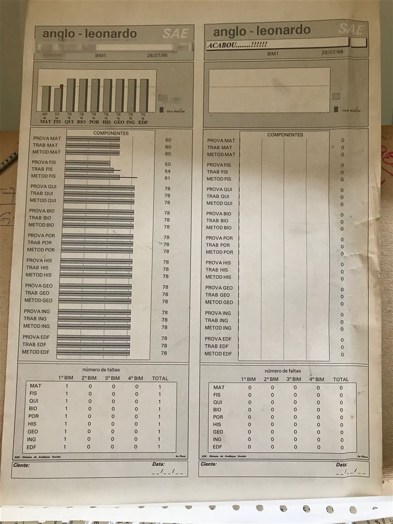Dois boletins do SAE, Sistema de Avaliação Escolar, de 26 de julho de 1996, com gráfico por matéria, componentes e faltas